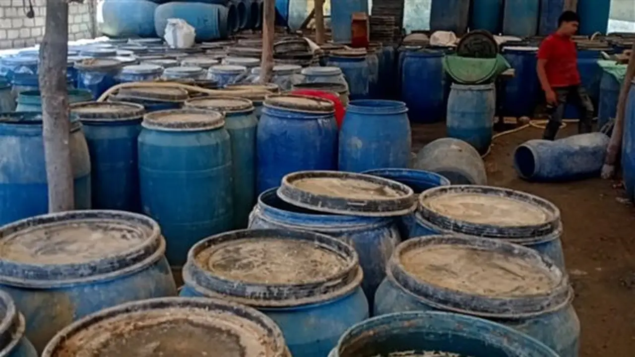 ضبط 12 طنًا من المواد الغذائية المنتهية الصلاحية في حملات تفتيشية بالبحيرة