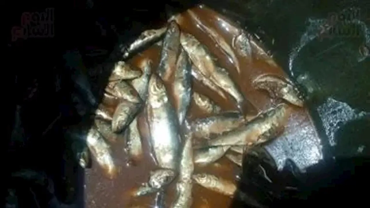 ضبط 1.8 طن من أسماك السردين الفاسدة وسلع منتهية الصلاحية في البحيرة