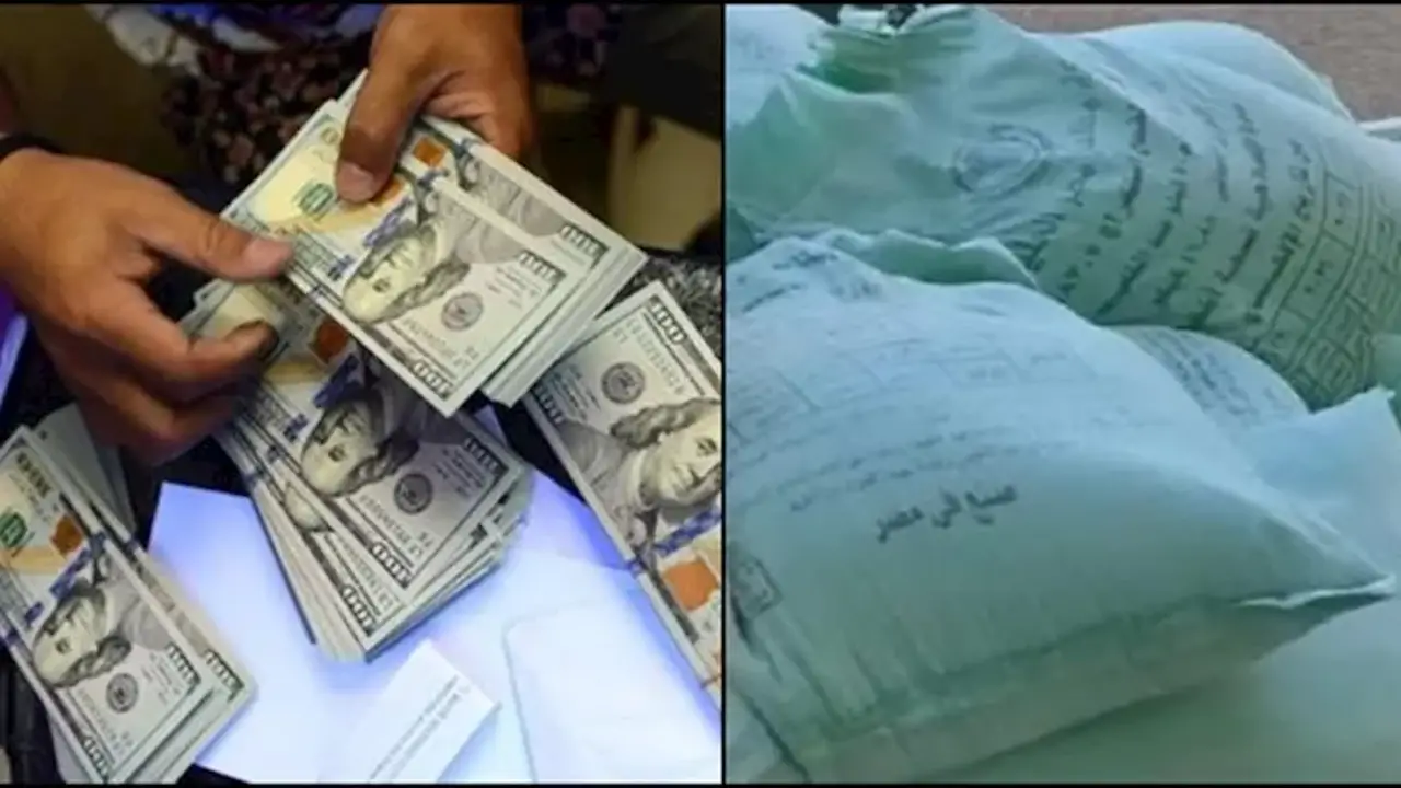 ضبط 21 طنًا من الدقيق المدعم وجرائم الاتجار بالنقد الأجنبي بقيمة 5 ملايين جنيه خلال 24 ساعة