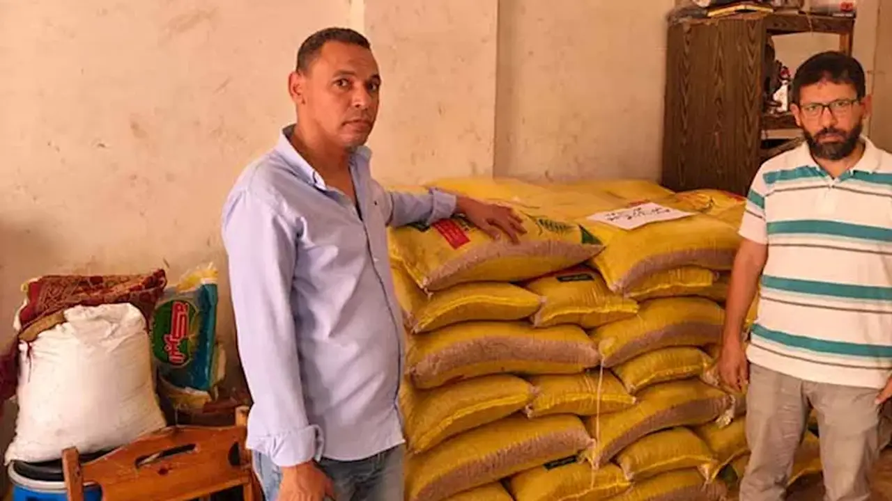 ضبط 2.2 طن من القمح المحظور و31 بطاقة تموينية في الإسكندرية – صور