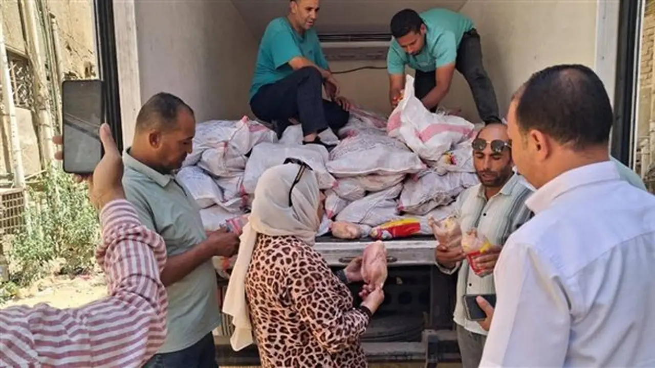ضبط 2680 كيلو من الدواجن المجمدة غير الصالحة للاستهلاك في الفيوم