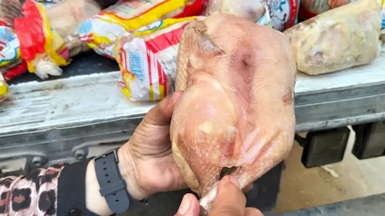 ضبط 3 آلاف دجاجة فاسدة قبل بيعها للمطاعم في الفيوم – صور