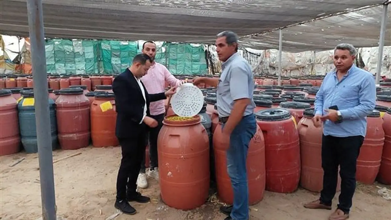 ضبط 300 طن من المخللات داخل مصنع غير مرخص في البحيرة