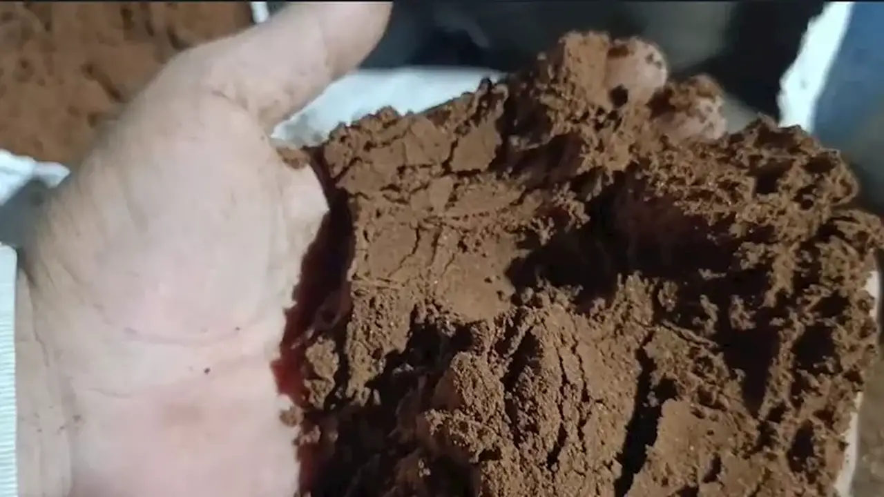 ضبط 630 كجم من بن مغشوش داخل سيارة في الفيوم (صور)