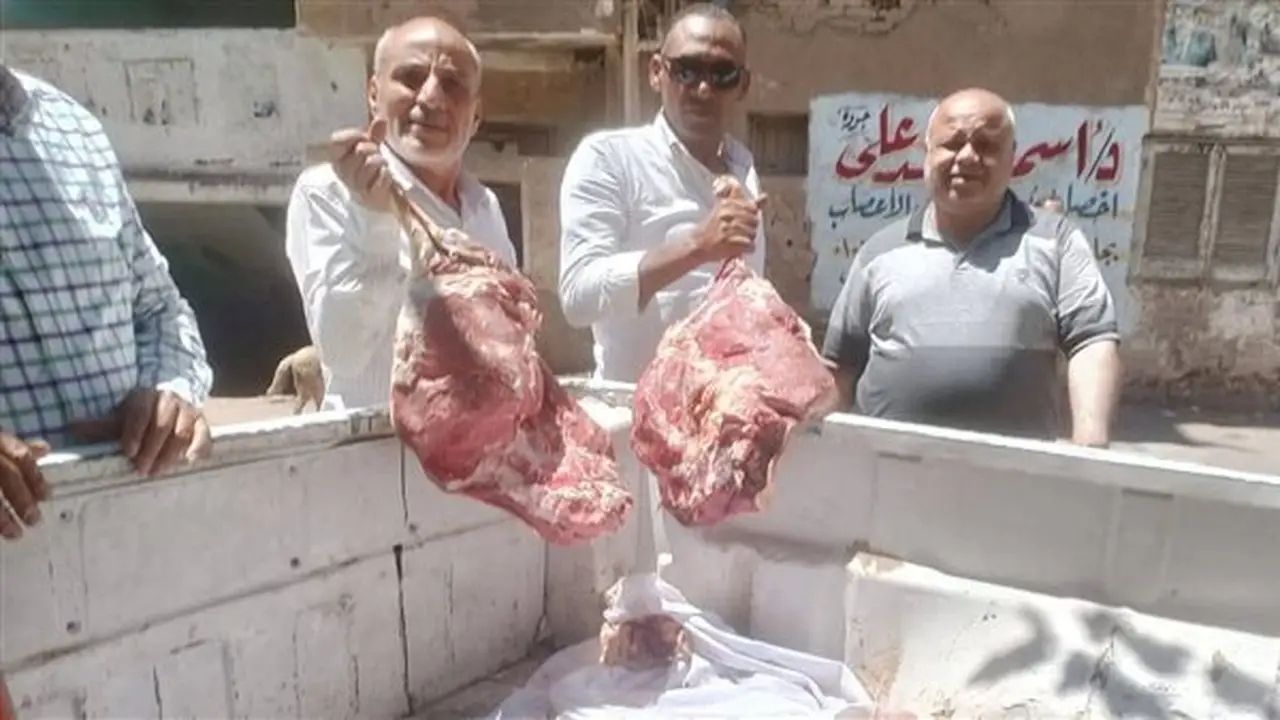 حملات تفتيشية تضبط لحوم فاسدة لدى جزارين في الفيوم