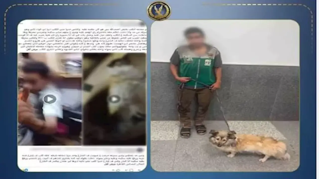 ضبط متهم بتعذيب كلب في البساتين بعد تداول فيديو مؤلم
