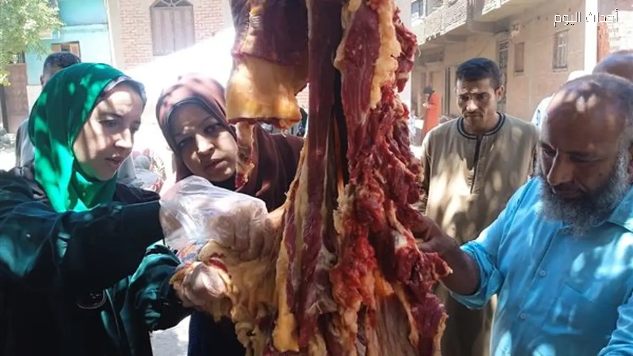 ضبط نصف طن من اللحوم والدواجن والأسماك غير الصالحة للاستهلاك الآدمي في المنيا
