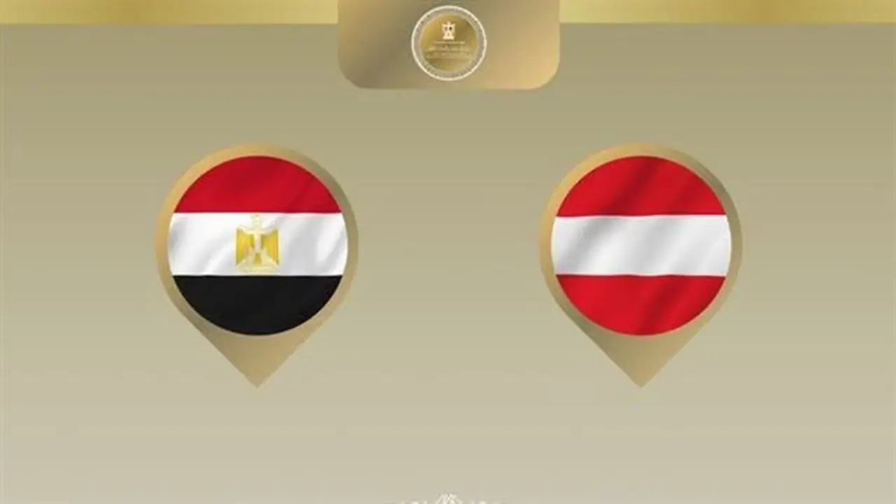 وزير الخارجية يتوجه إلى فيينا