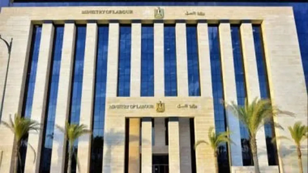 فرص عمل للمهندسين براتب 12,000 جنيه: التفاصيل الكاملة