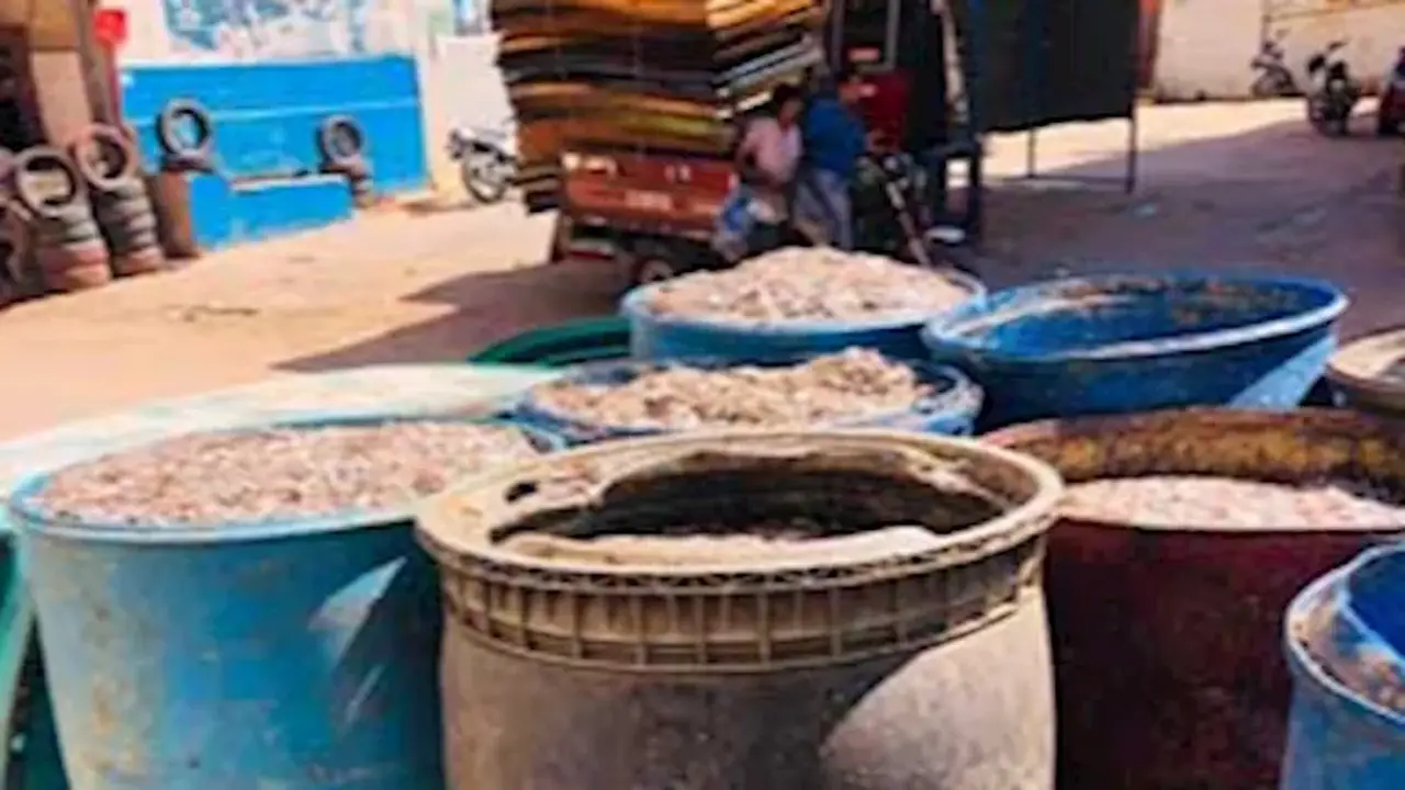 ضبط طن و800 كيلو من الأسماك الفاسدة في الفيوم قبل تحويلها إلى ملوحة