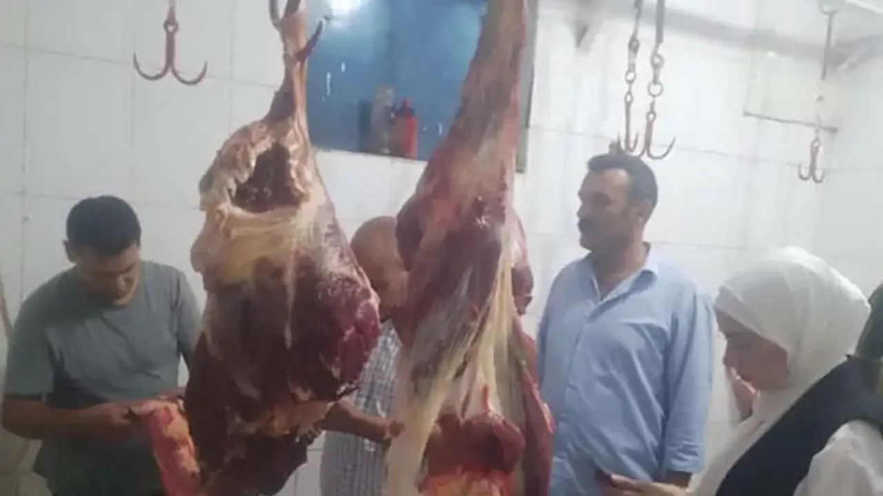 ضبط نصف طن من اللحوم والدواجن الفاسدة في المنوفية قبل طرحها بالأسواق (صور)