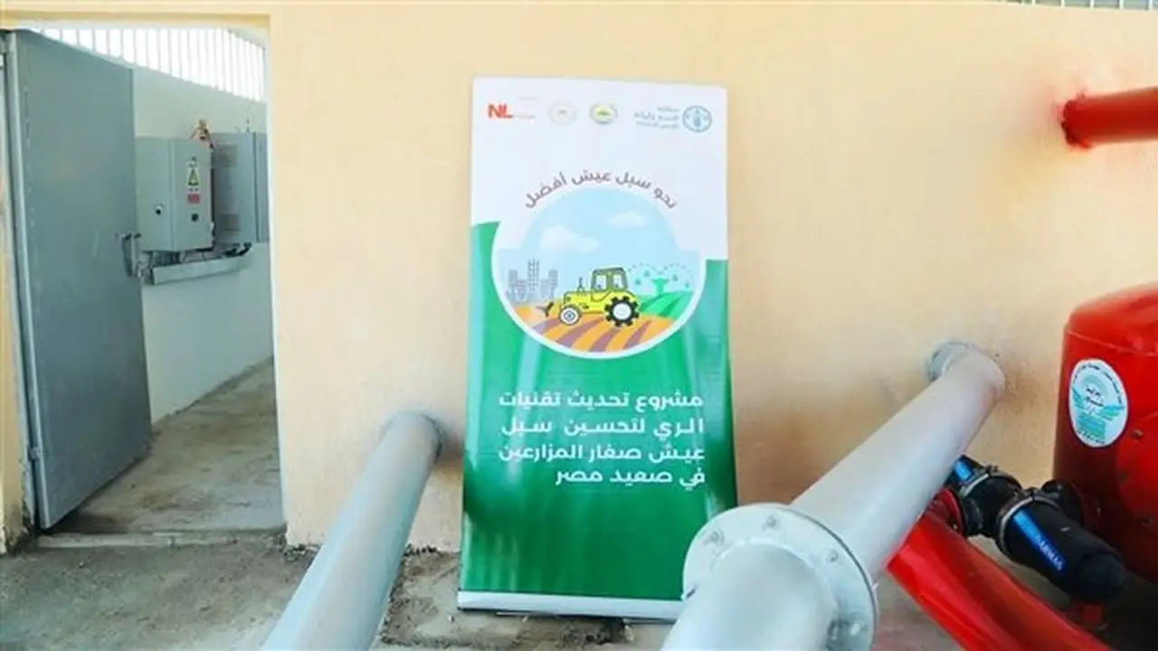 قنا تبحث تعزيز التعاون مع الفاو في مجالات الزراعة والري