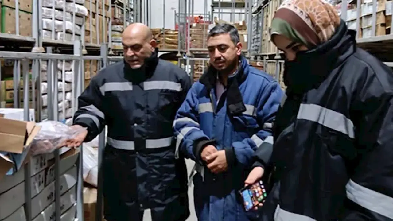 ضبط 2.5 طن من الأسماك والكبدة الفاسدة في بنها خلال حملة رقابية