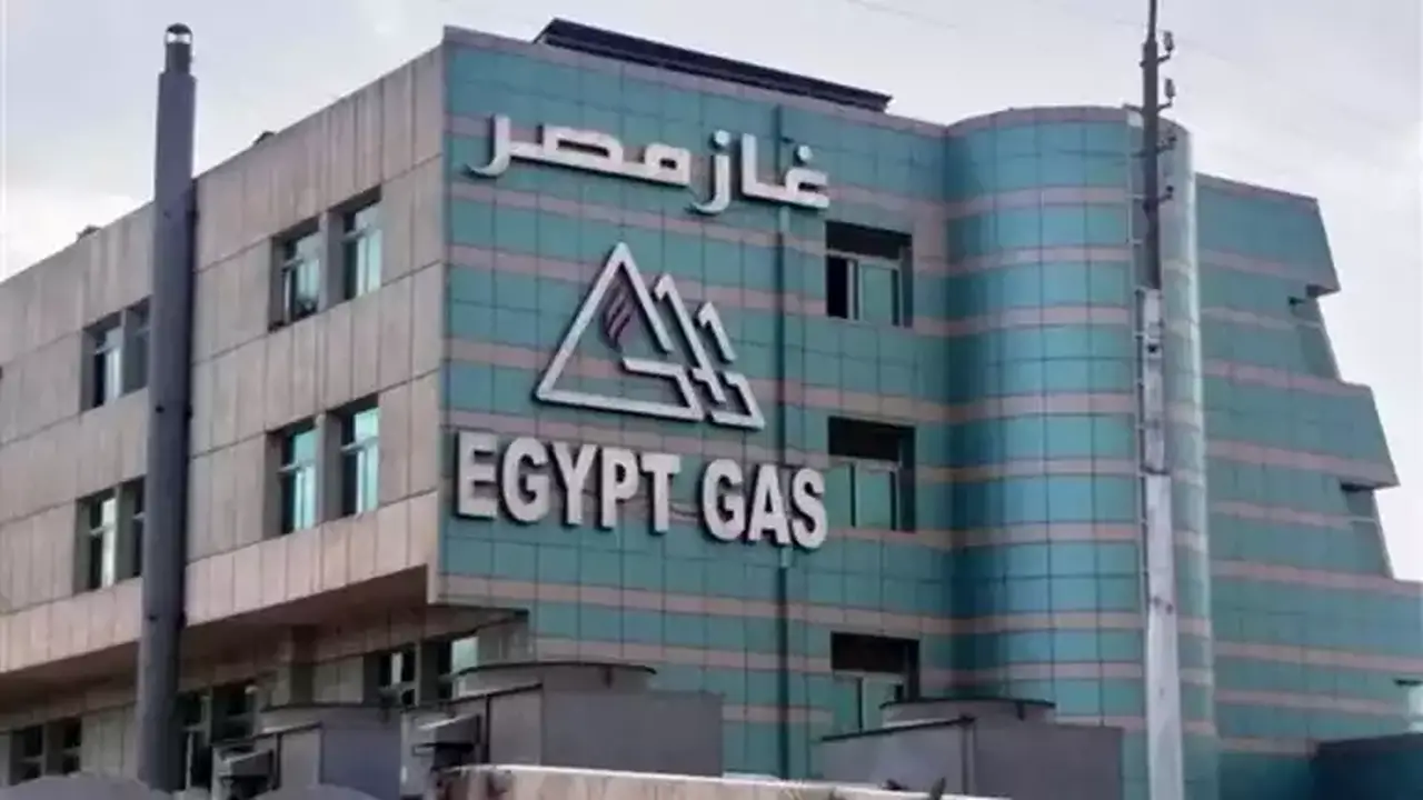 محافظة الإسكندرية تطمئن سكان العامرية: لا داعي للقلق من رائحة الغاز