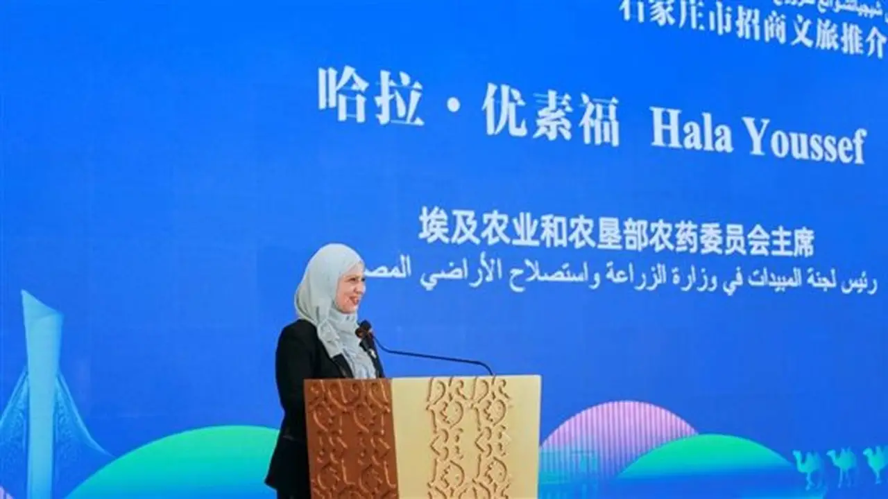 لجنة مبيدات الآفات الزراعية تشارك في مؤتمر شيجياتشوانغ الصيني لتعزيز التعاون مع الصين