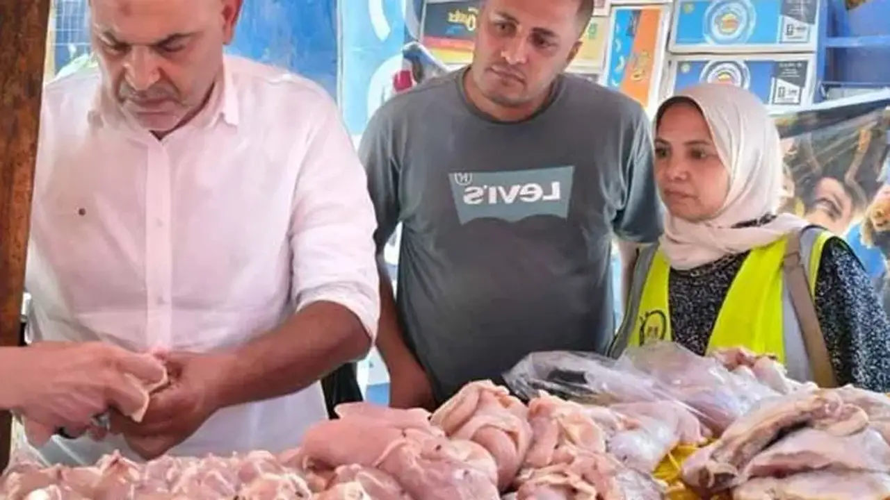 ضبط محل يحقن الدواجن بالمياه لزيادة وزنها في القليوبية – صور