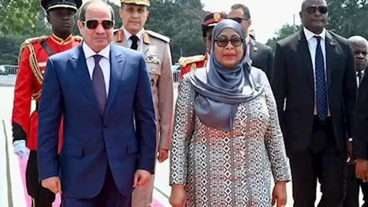 السيسي ورئيسة تنزانيا يشهدان توقيع مذكرات تفاهم جديدة