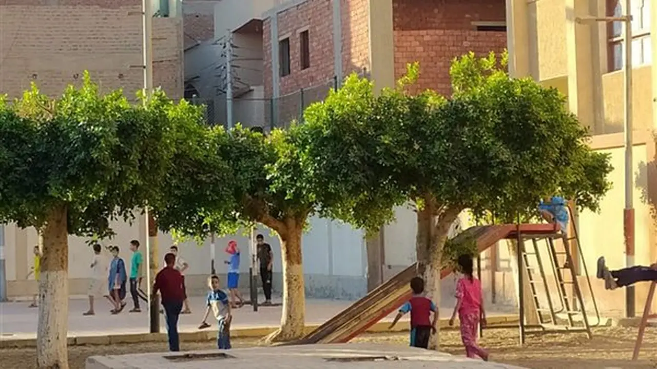 جولات ميدانية مكثفة للهيئات الشبابية والرياضية في أسيوط