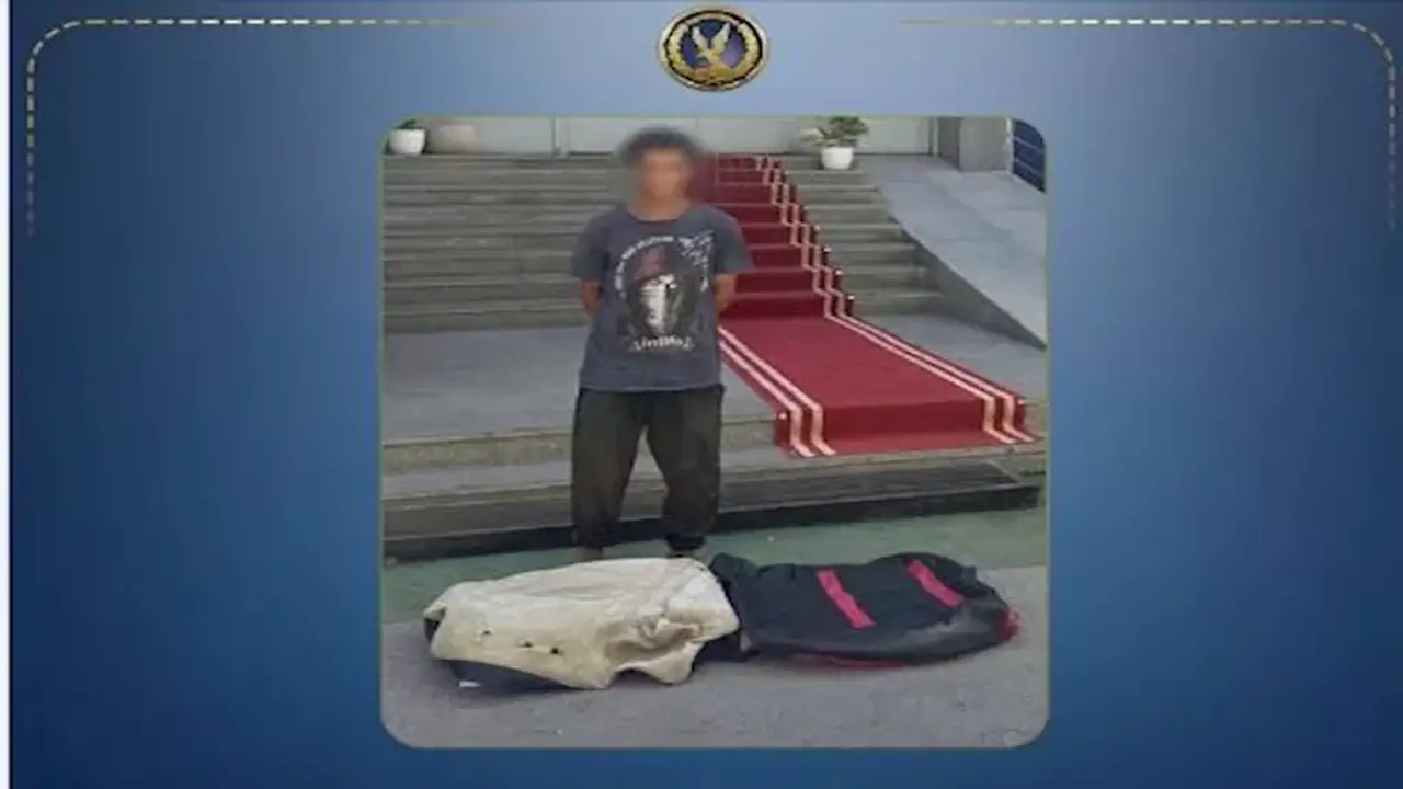 ضبط متسول حول شجرة إلى ملاذ للهروب من ملاحقات الأمن في الإسماعيلية