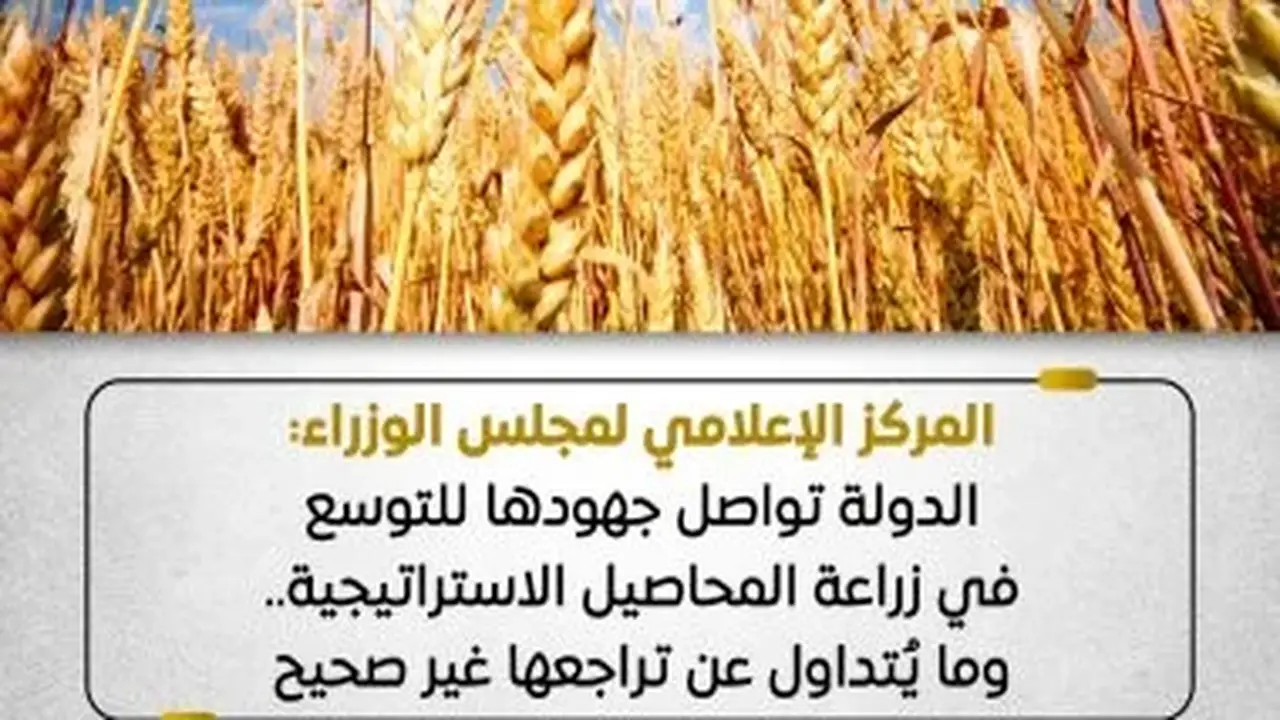 مجلس الوزراء: جهود الدولة تتواصل للتوسع في زراعة المحاصيل الاستراتيجية