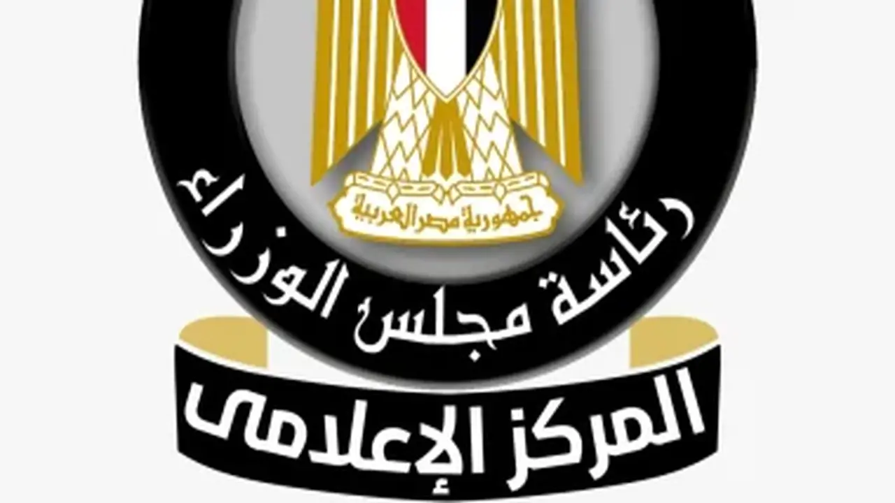 مجلس الوزراء يسلط الضوء على مصنع «Elite Solar» كاستثمار صيني رائد في تصنيع الألواح والخلايا الشمسية