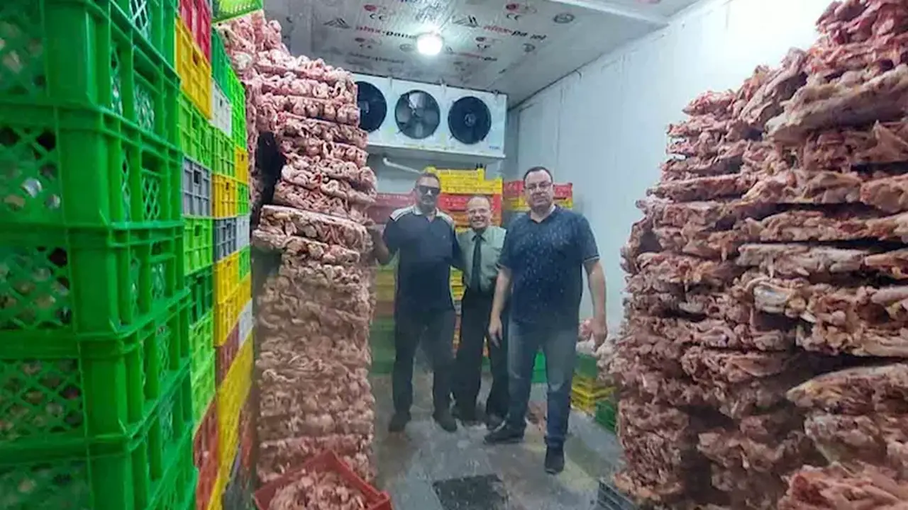 محافظ الجيزة: ضبط 42 طنًا من اللحوم والدواجن الفاسدة ومنشآت مخالفة بالأسواق (صور)