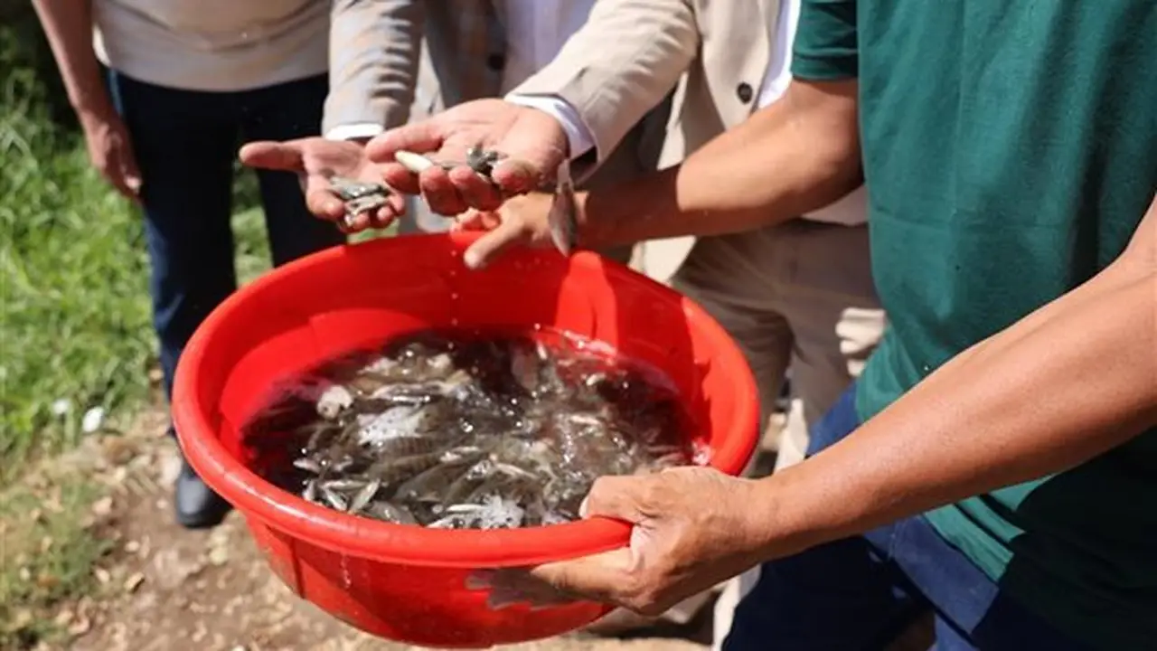 محافظ المنيا: إطلاق زريعة الأسماك كاستثمار استراتيجي طويل الأجل