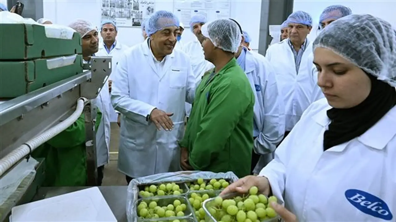 مدبولي يتفقد مزارع ومحطات فرز وتعبئة شركة بلكو للإنتاج الزراعي بمدينة السادات