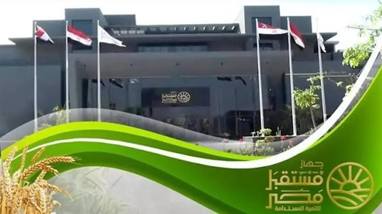 مستقبل مصر: استراتيجية لتعزيز الأمن الغذائي وجذب الاستثمارات