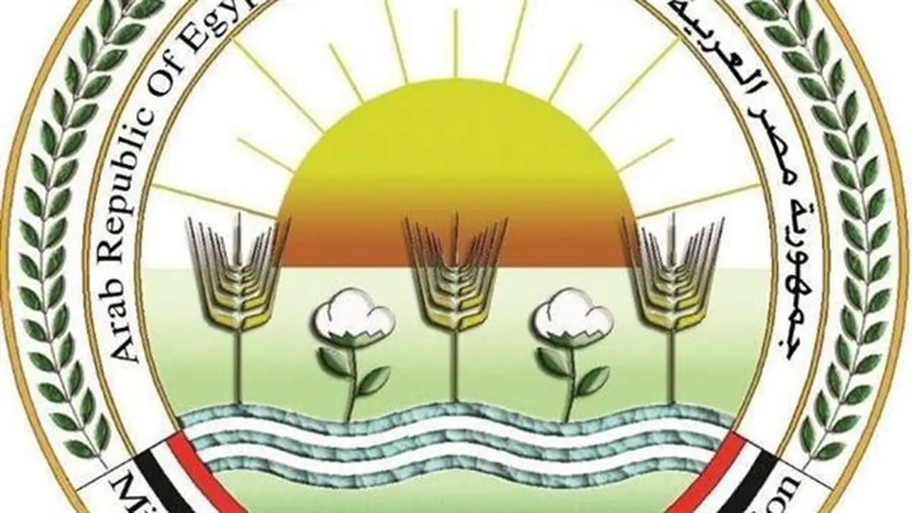 مصر تعزز الاستثمار في الثروة الحيوانية من خلال أول مؤتمر دولي للتنمية المستدامة