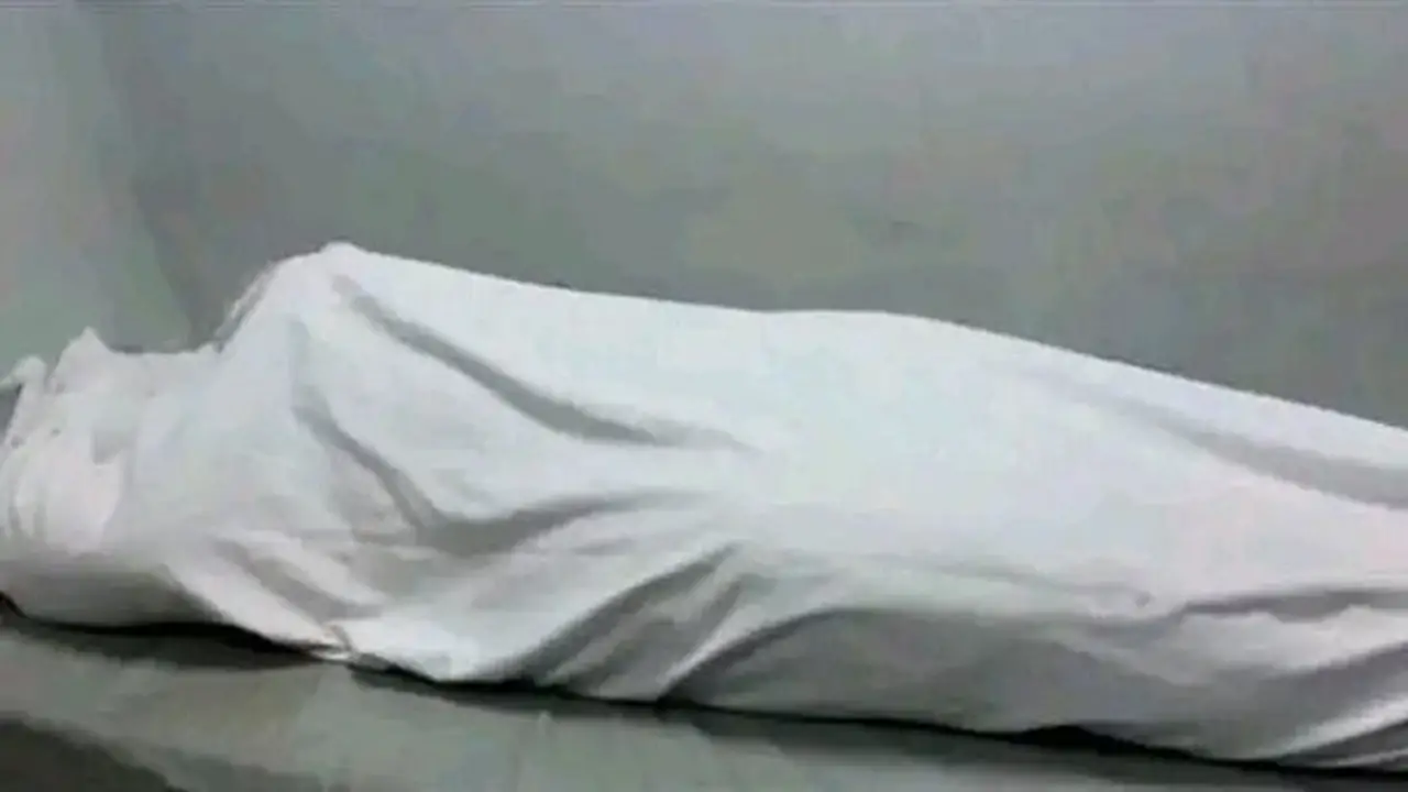 مصرع شخص إثر سقوطه من سلم عقار في منشأة ناصر بالقاهرة