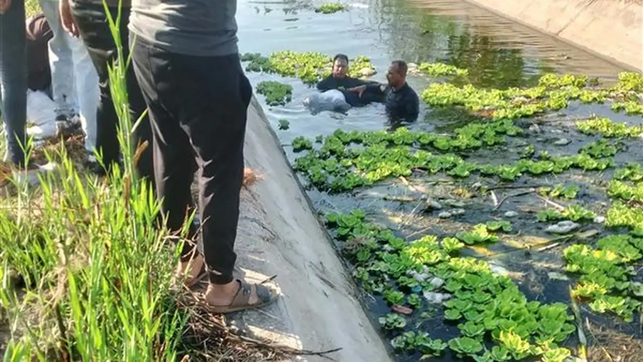 مصرع طفلين غرقًا في ترعة عزبة شعير بالبحيرة