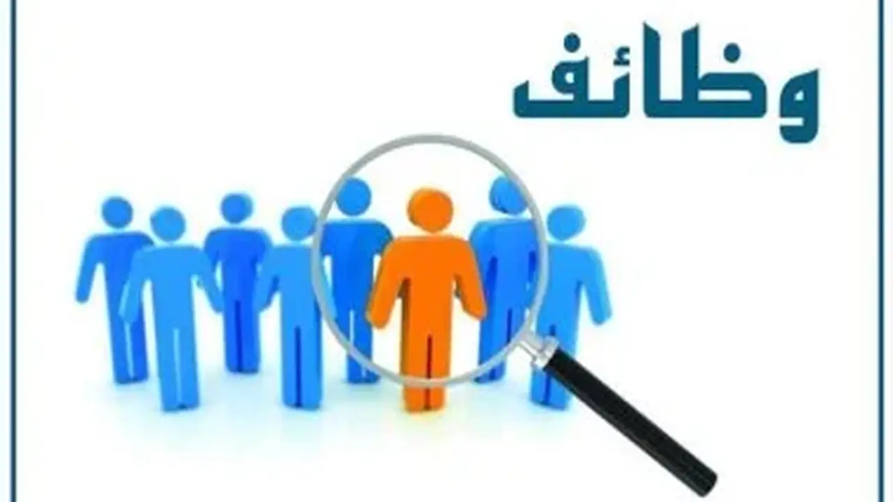 فرص عمل جديدة في الأغذية: وزارة العمل تطلب شيفات وحلوانية برواتب تصل إلى 9700 جنيه