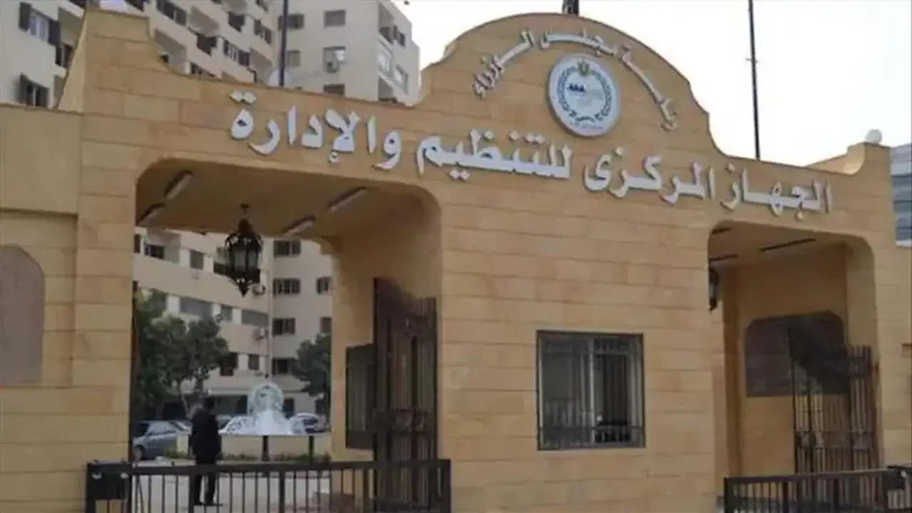 أعداد الكلاب في مصر تتجاوز الثروة الحيوانية بثلاثة أضعاف