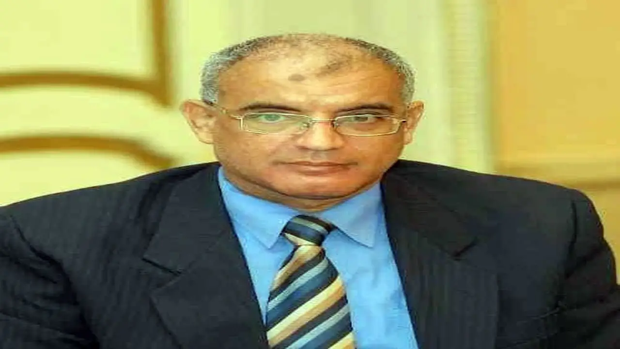 ملف الكلاب الضالة: أزمة مجتمعية تعكس أبعاد الحروب الحديثة