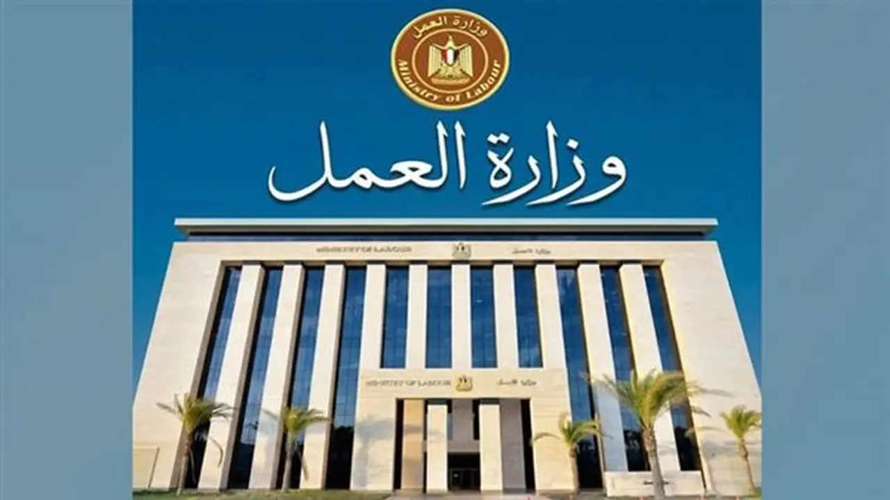خطة وزارة العمل لحماية العمالة المنزلية: من التوجيه الرئاسي إلى التنفيذ الفعلي