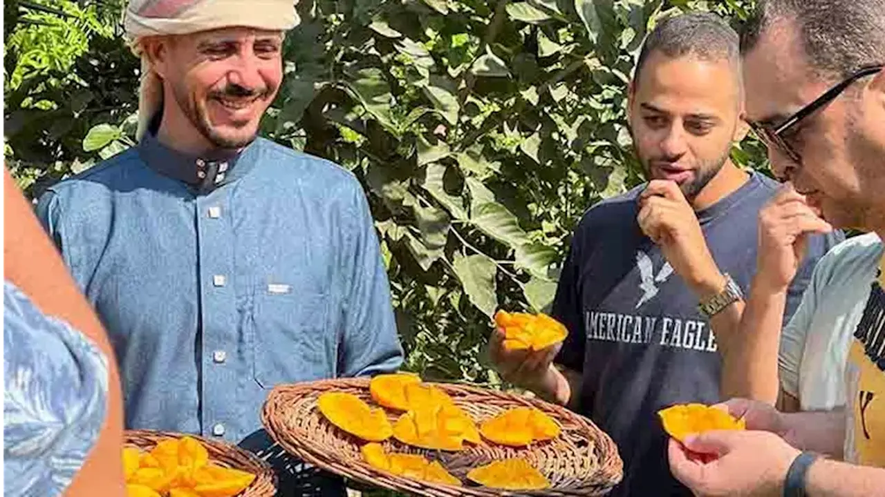 جولة بين أشهر 138 صنفًا من مانجو الإسماعيلية (صور)