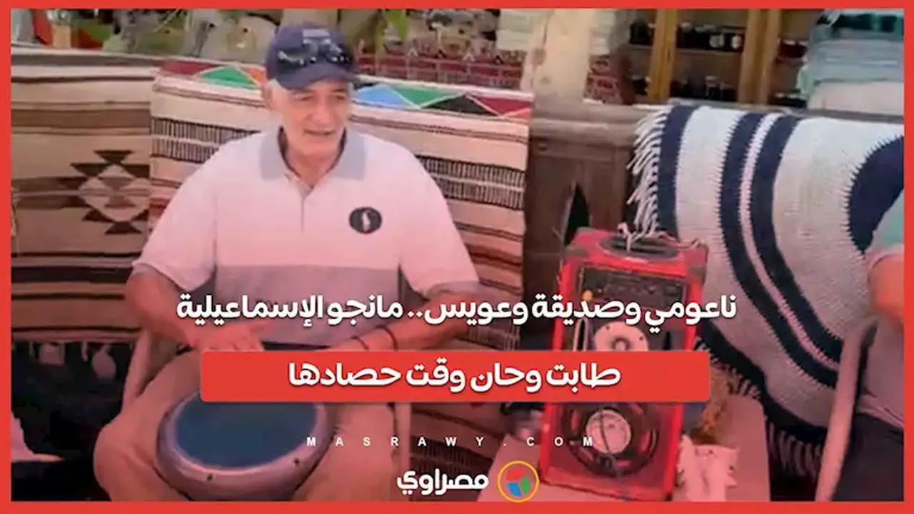 حصاد مانجو الإسماعيلية: ناعومي وصديقتها وعويس في موسم الجني
