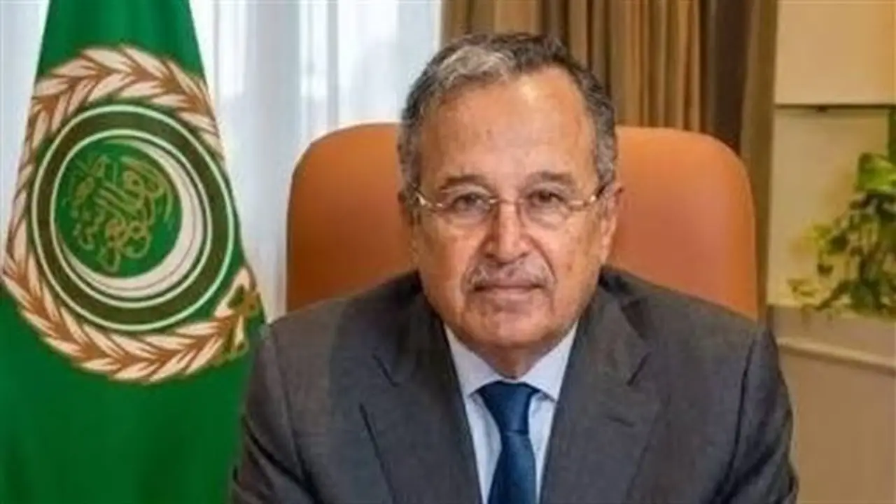 نبيل فهمي يؤكد دعم الجامعة العربية لوحدة السودان وسيادته