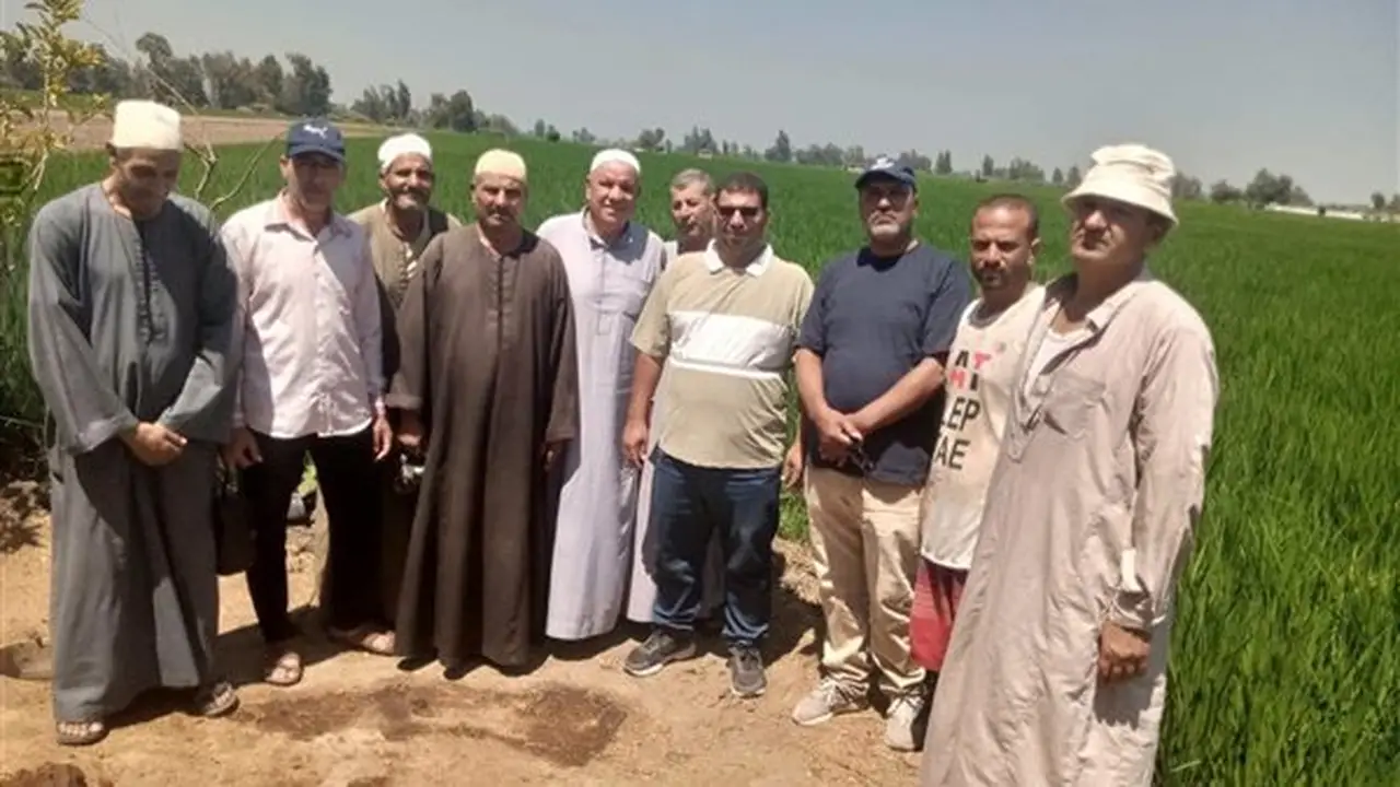 ندوة إرشادية بقلين لترشيد المياه ومكافحة أمراض الأرز