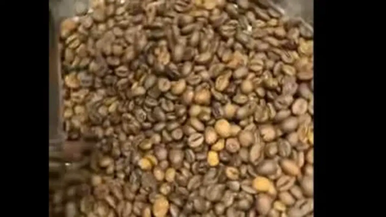 شعبة البن في مصر تنفي شائعات الغش وتؤكد جودة المنتج