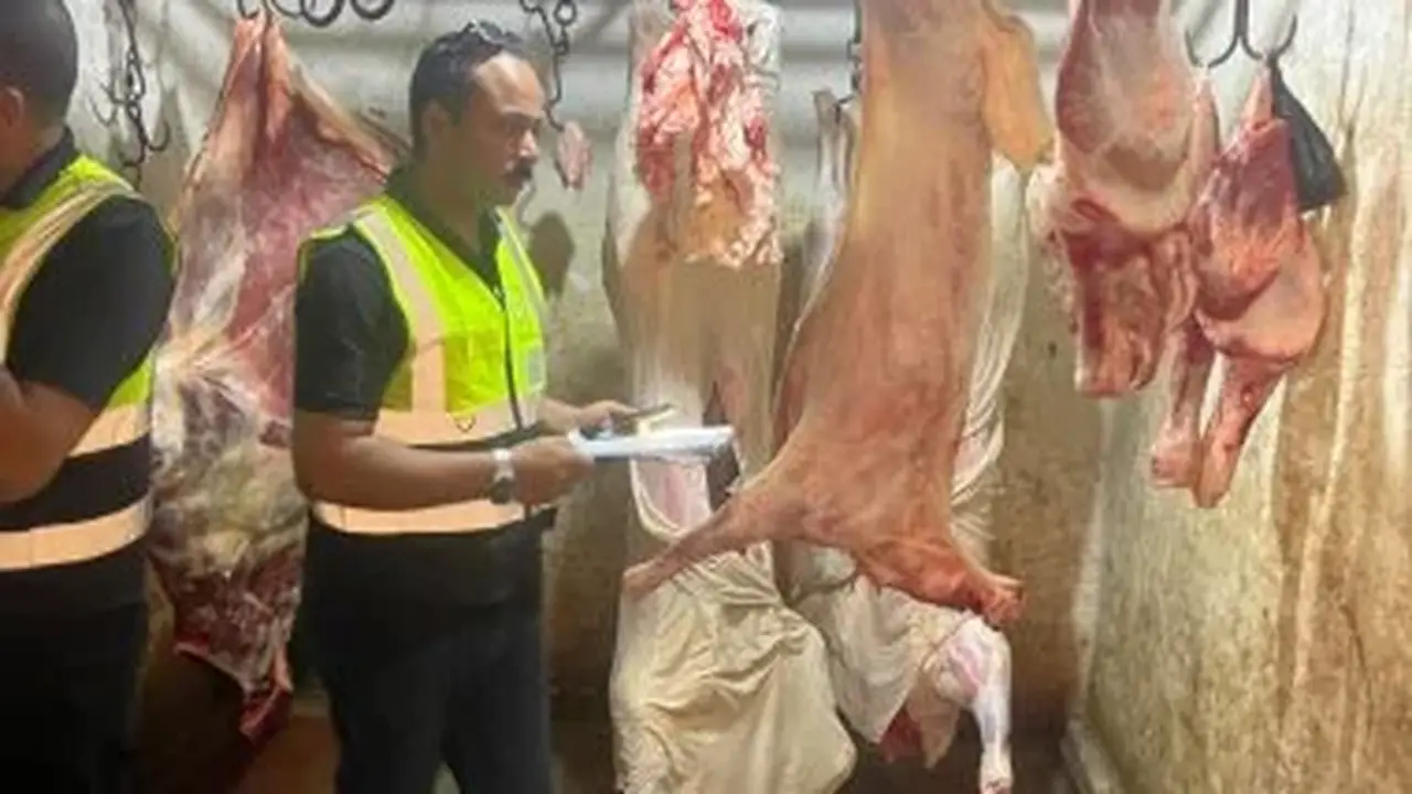 ضبط أكثر من طن من اللحوم والذبائح المخالفة في الدقهلية