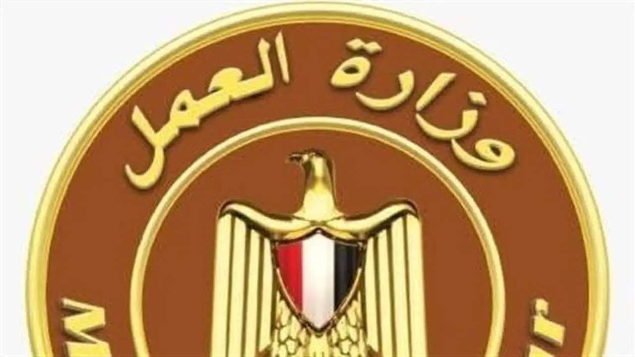 وزارة العمل تطلق برامج ودورات تدريبية لتأهيل الشباب في المحافظات
