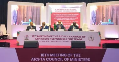 وزير الاستثمار والتجارة الخارجية يشارك في اجتماع AfCFTA بنيجيريا