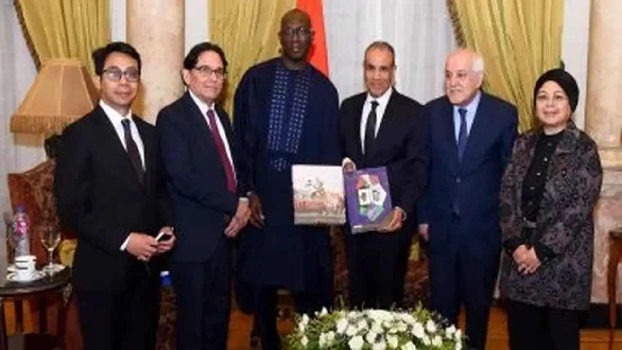 وزير الخارجية المصري يؤكد أهمية تنفيذ خطة السلام الأمريكية في غزة