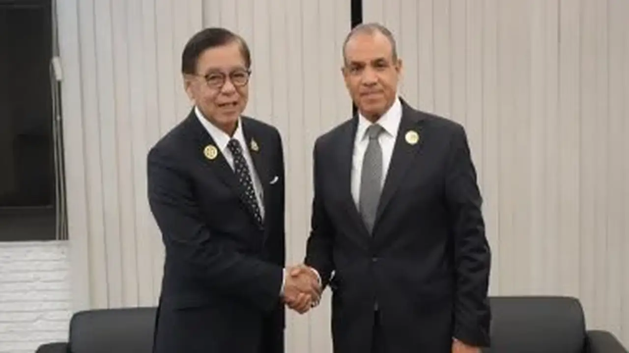وزير الخارجية المصري يؤكد لنظيره التايلاندي أهمية تعزيز العلاقات الثنائية والتعاون مع الآسيان