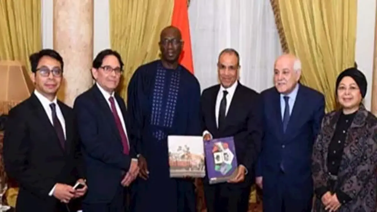 وزير الخارجية المصري يؤكد استمرار جهود مصر لدعم القضية الفلسطينية