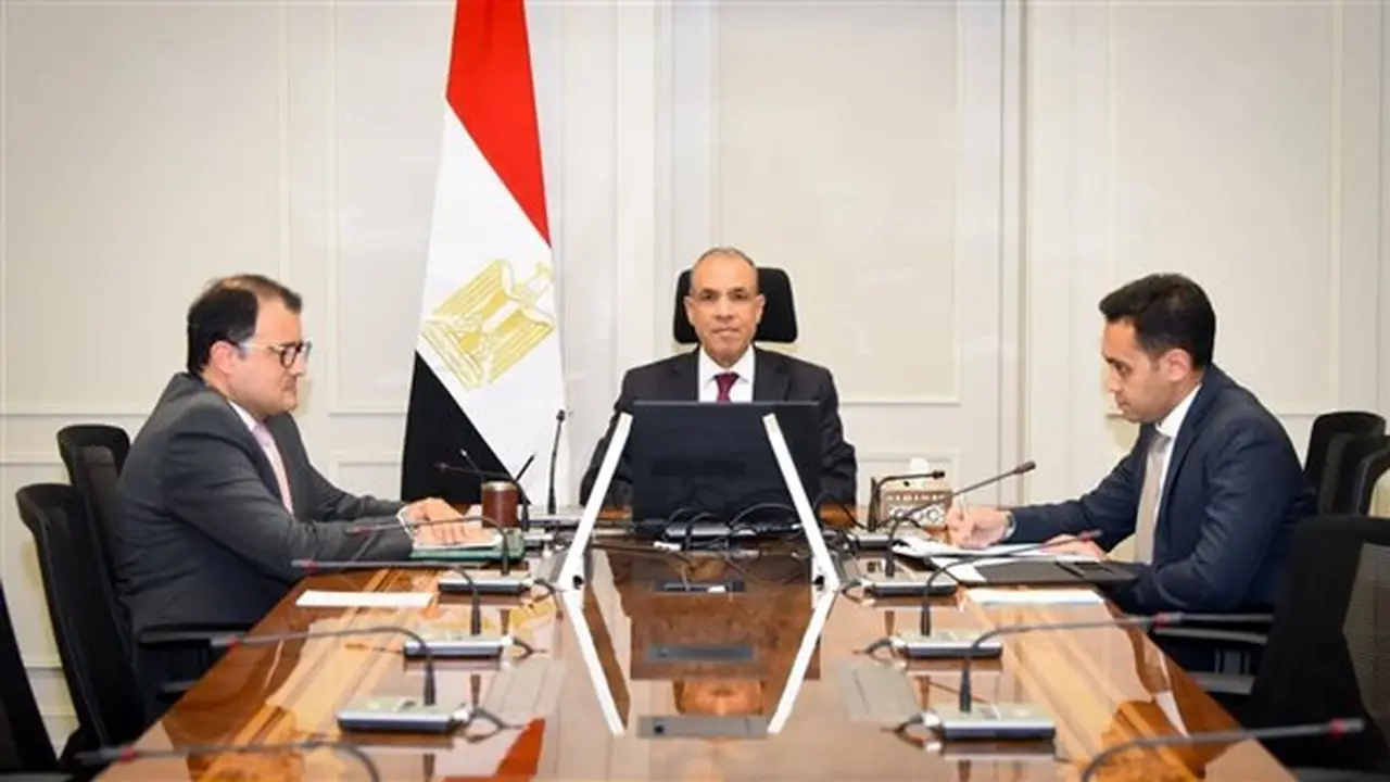 وزير الخارجية المصري يبحث تعزيز العلاقات مع نظيره السيشلي