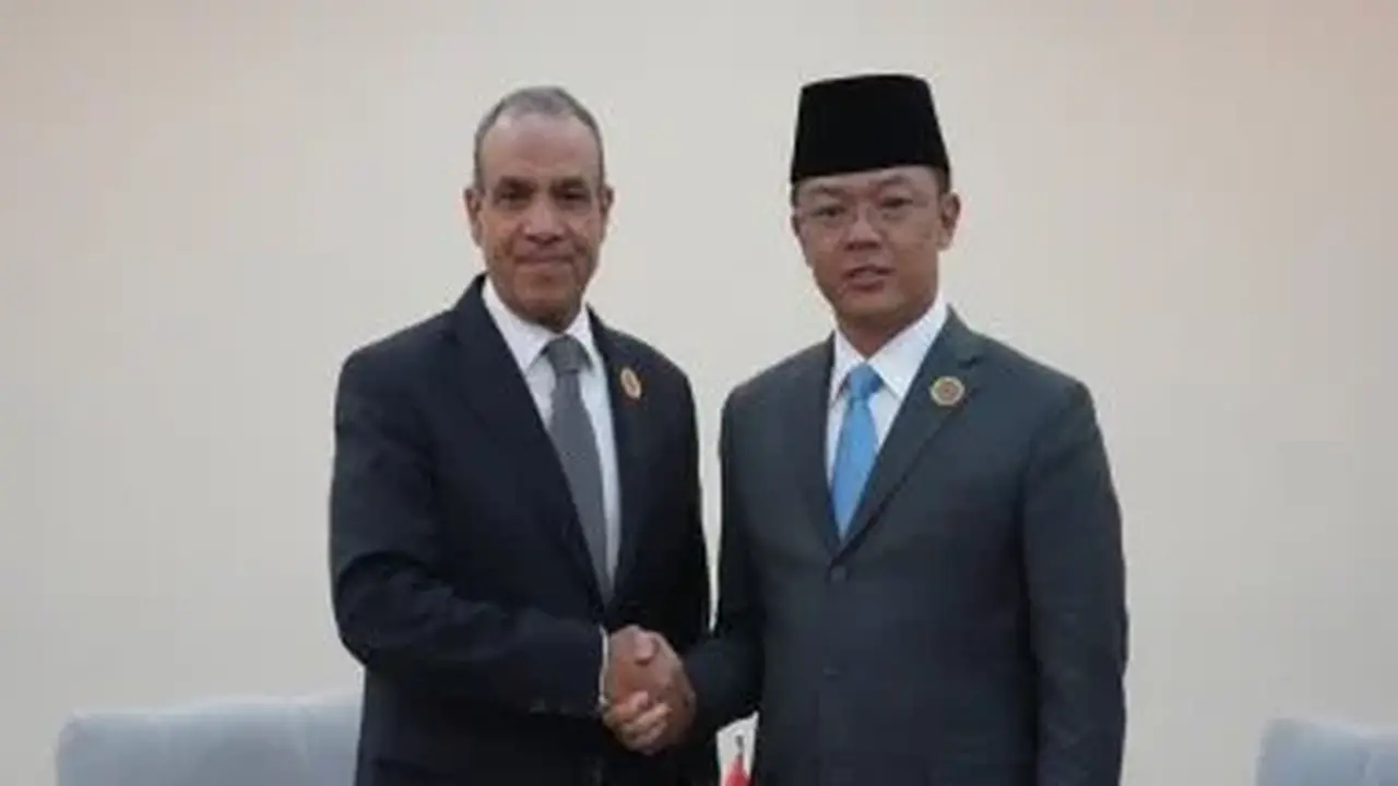 وزير الخارجية المصري يلتقي نظيره الإندونيسي في مانيلا