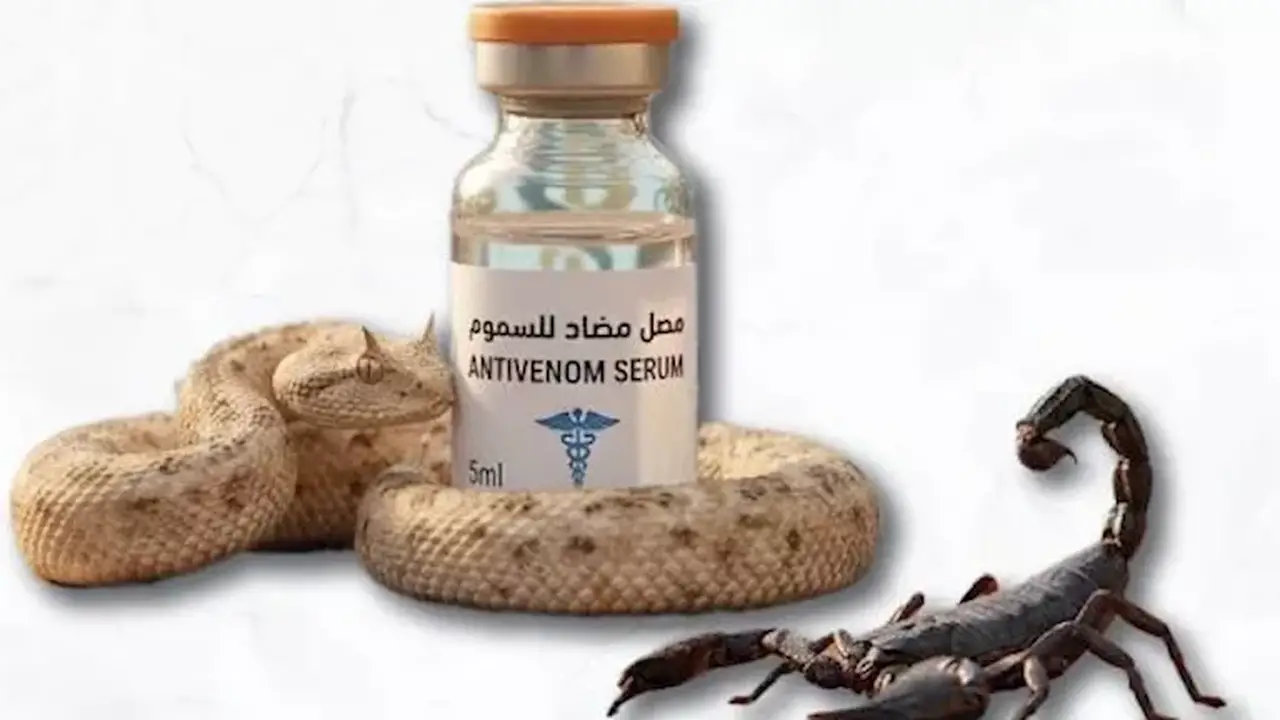 توفير مصل لدغات الثعابين والعقارب في جنوب سيناء: أماكن التوافر والخطة التنفيذية